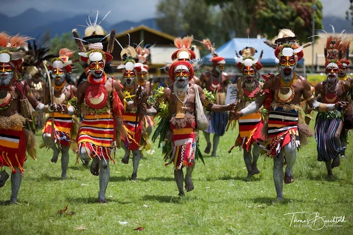 Tribal Singsing, Goroka Show - Papua New Guinea - Wild Earth Expeditions