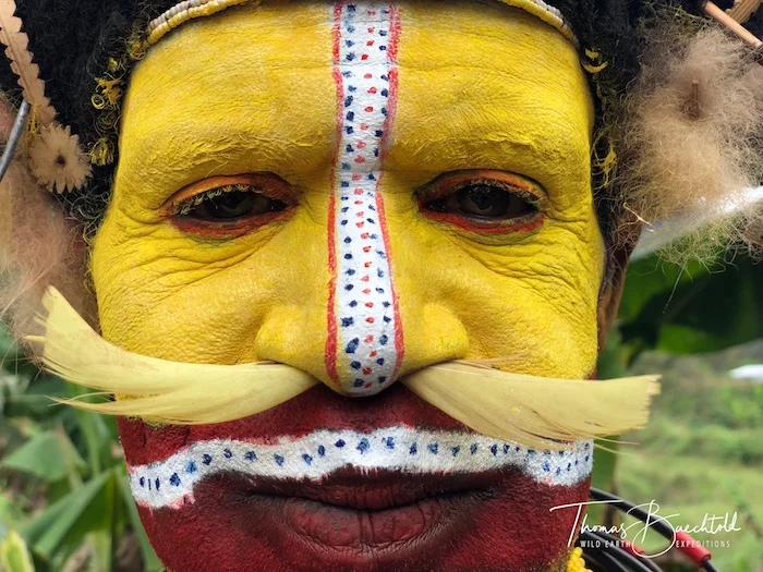 Close up of a Huli wigman, Mount Hagen - Papua New Guinea - Wild Earth Expeditions