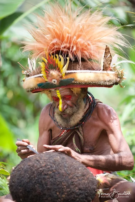 Making a wig. Huli wigmen, Mount Hagen - Papua New Guinea - Wild Earth Expeditions