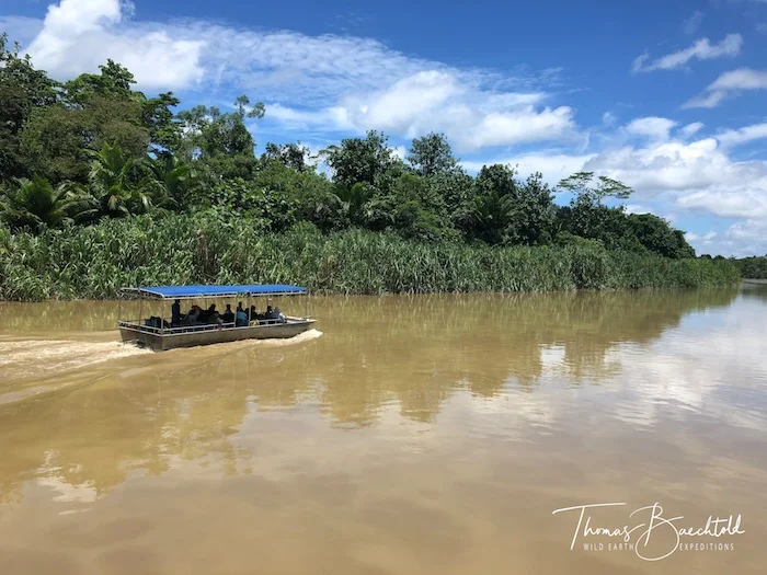 Karawari River - Papua New Guinea - Wild Earth Expeditions