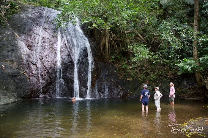 Hiliwau Waterfall - Papua New Guinea - Wild Earth Expeditions