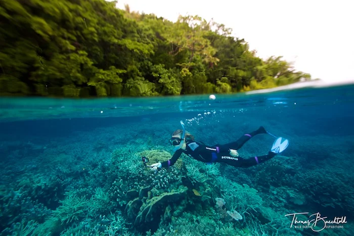 Snorkelling Tawali - Papua New Guinea - Wild Earth Expeditions