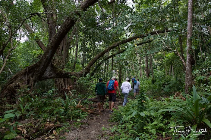 Volcano Hike, Walindi - Papua New Guinea - Wild Earth Expeditions