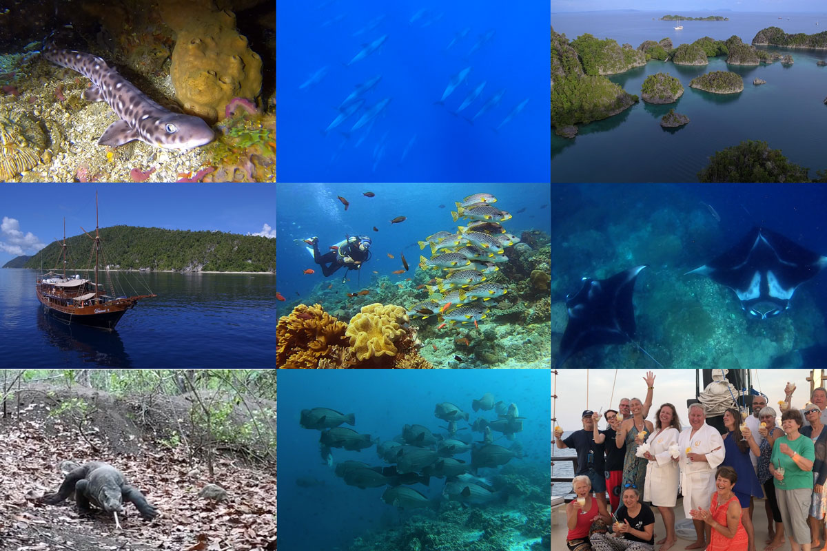 End-of-Year-©18-Wild-Earth-Expeditions-004.jpg