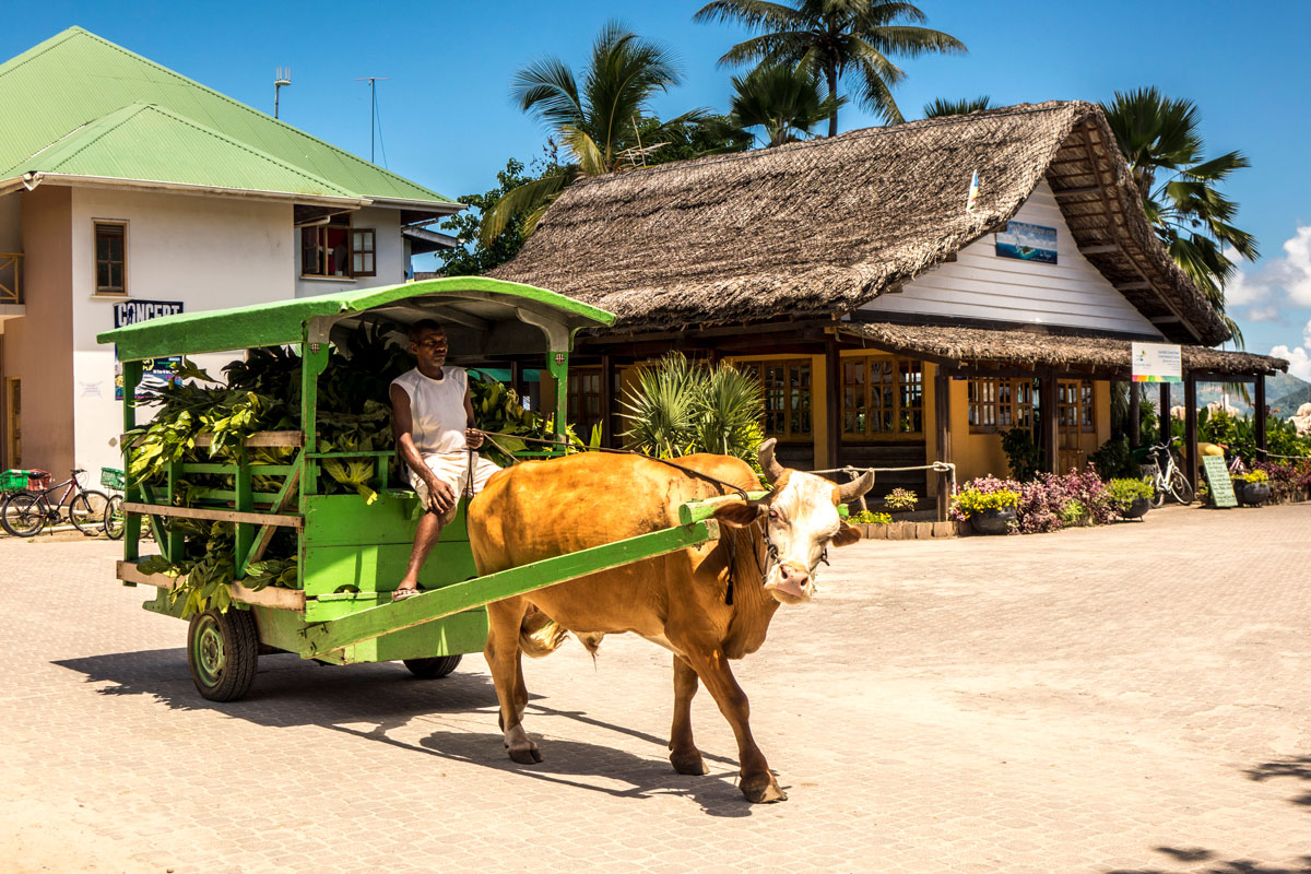 SYC_La-Digue-©-Mason's-Travel-(1).jpg