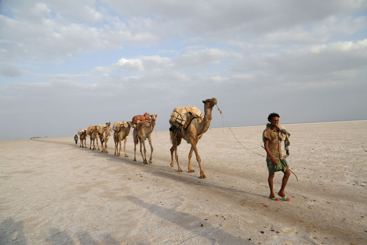 ETH_Danakil-Dallol-©-Dinkesh-Ethiopia-Tours-269.jpg