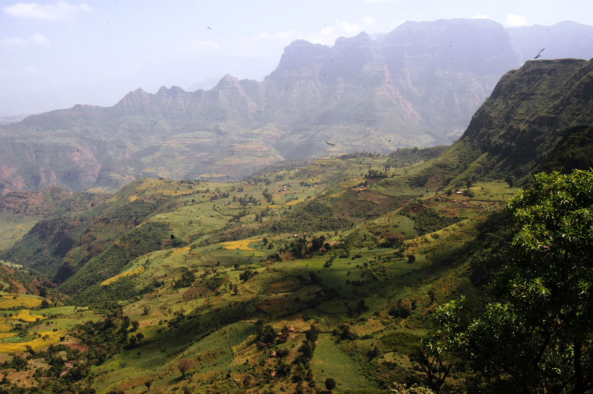 ETH_Simien-Mountains-©-Dinkesh-Ethiopia-Tours-008.jpg