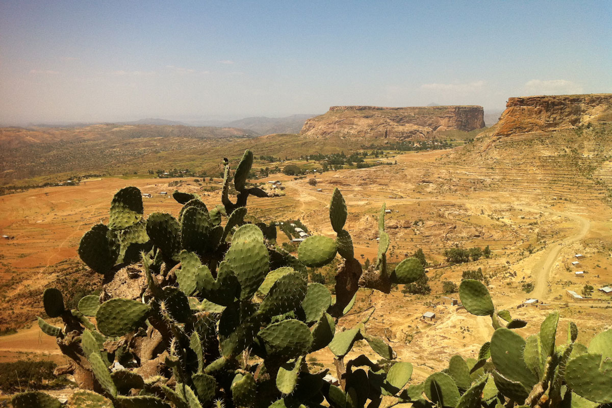 ETH_Tigray-©-Dinkesh-Ethiopia-Tours-104.jpg