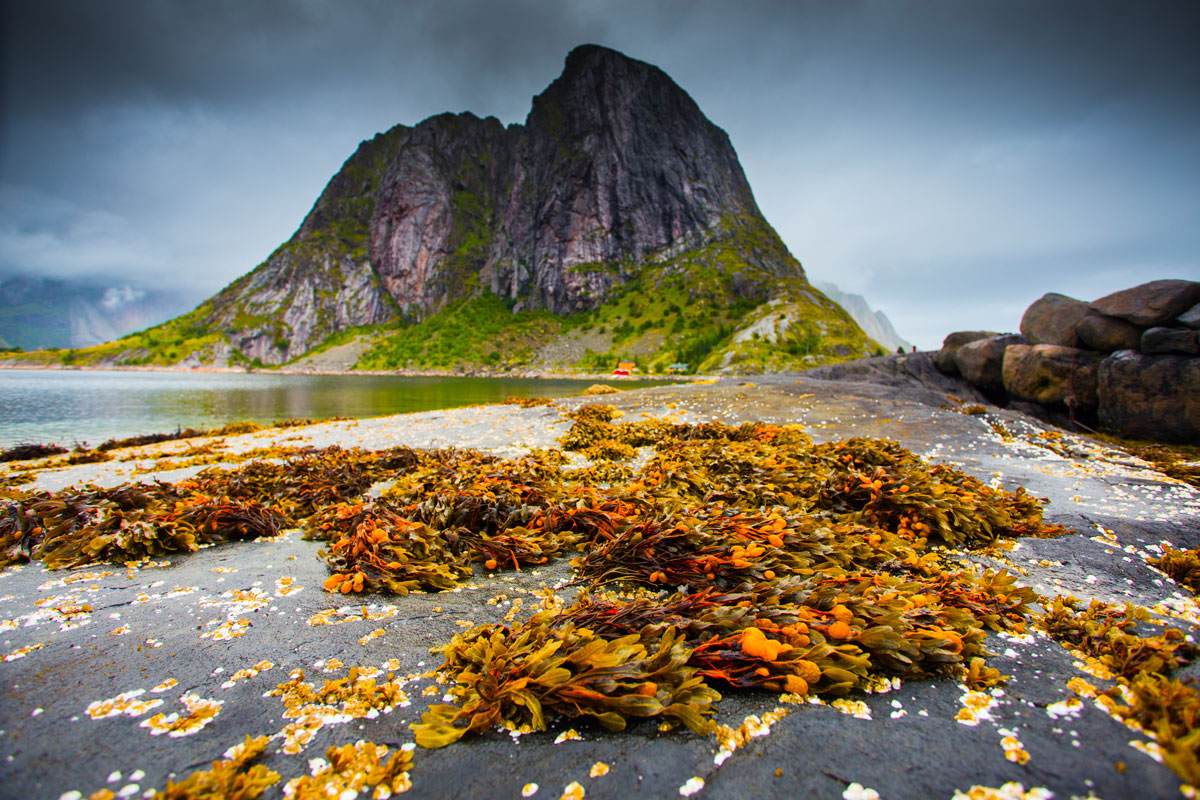 NOR_Lofoten-Islands-©-AdobeStock_231732153.jpg