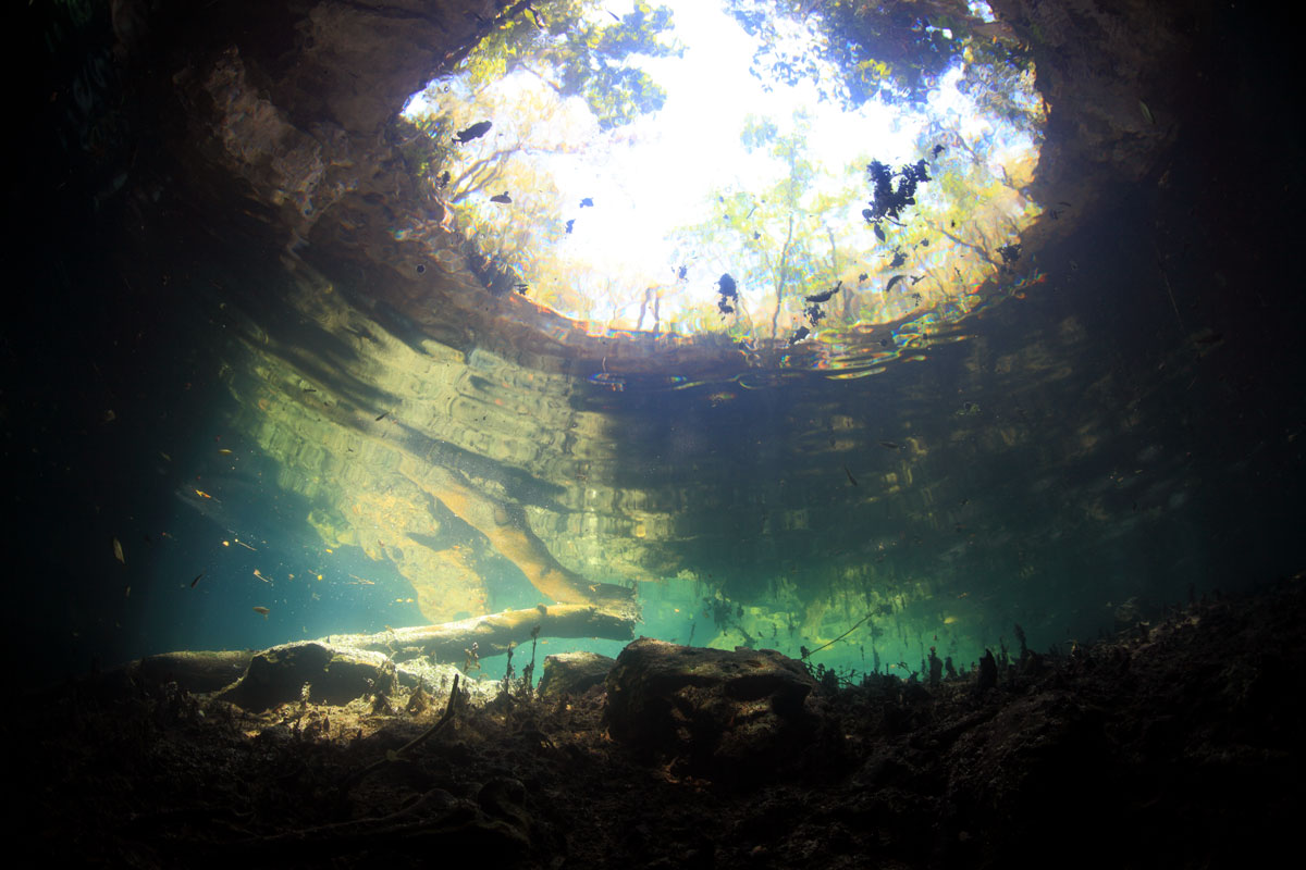 MEX_Cenotes-Jungle-Cave-©-AdobeStock_70116815.jpg