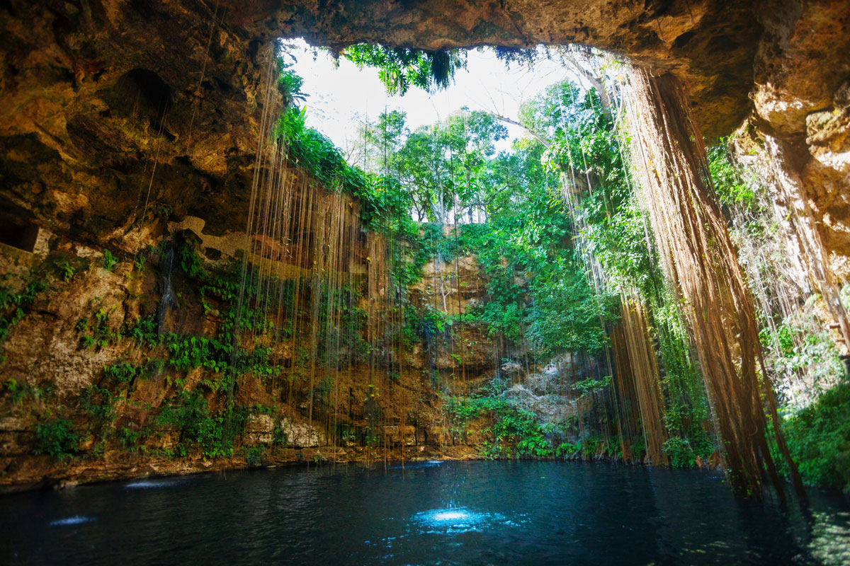 MEX_Cenotes-Jungle-Cenotes-Caves-©-AdobeStock_141681587.jpg