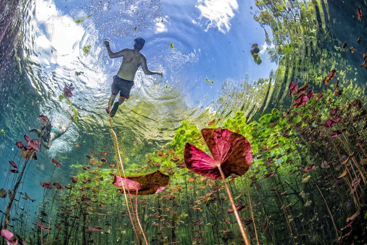 MEX_Cenotes-UW-Cave-Snorkel-©-AdobeStock_234703912.jpg