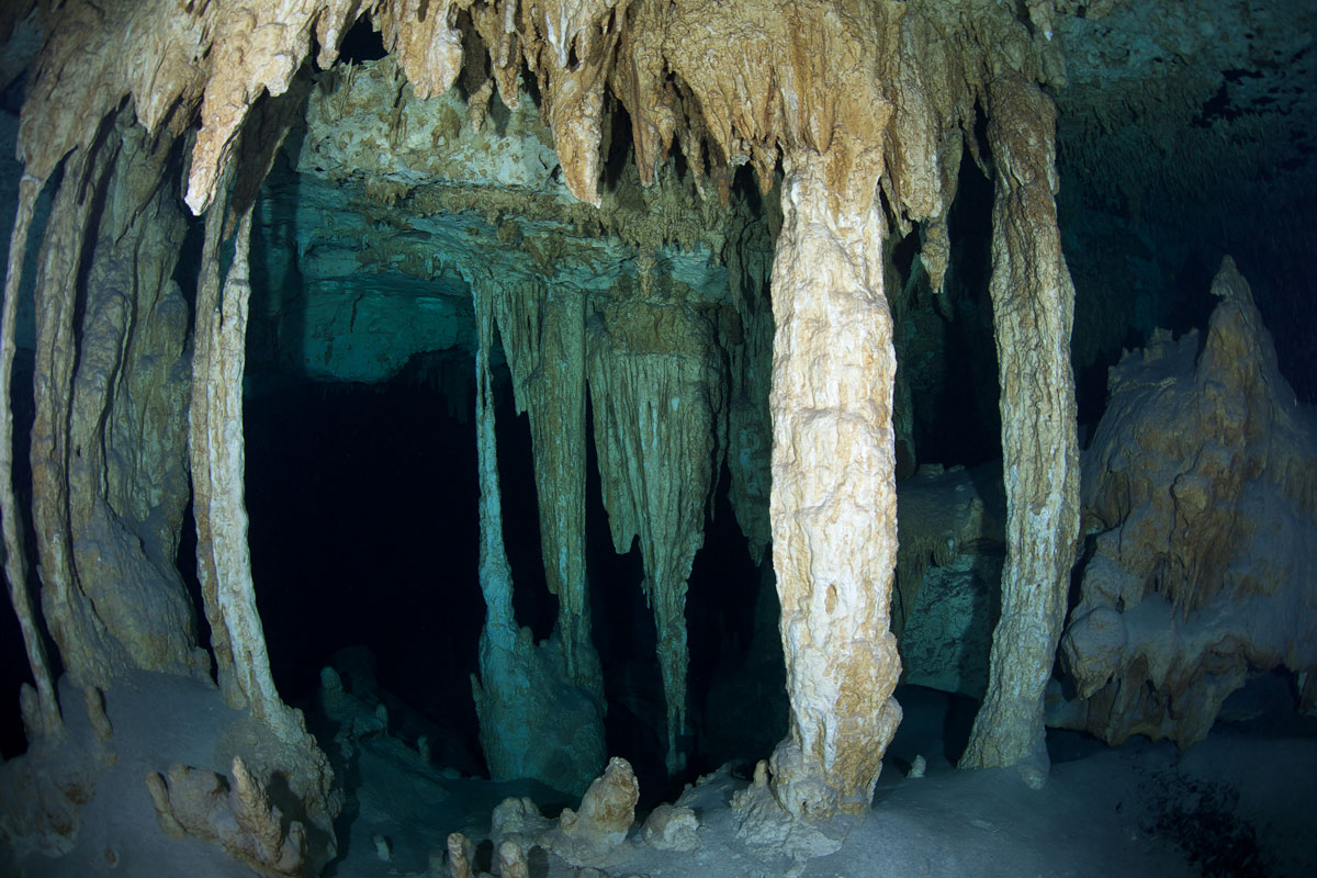 MEX_Cenotes-UW-Cenotes-Cave-Dive-©13-Thomas-Baechtold-254.jpg