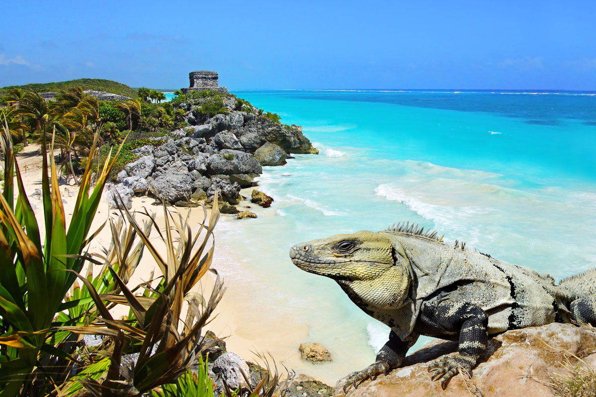 MEX_Tulum-Mayan-Ruins-©-Adobe-Stock_51324104.jpg