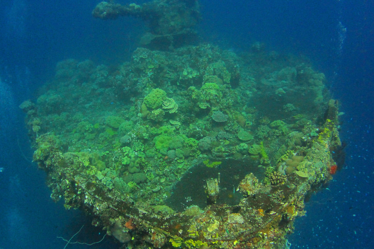 FSM_Chuuk-UW-Fujikawa_bow-©-WWDAS.jpg