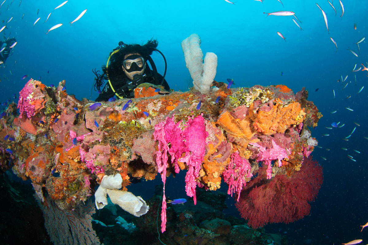 FSM_Chuuk-UW-Fujikawa-Stern-Gun-w-Calvin-©-Ron-Leidich.jpg