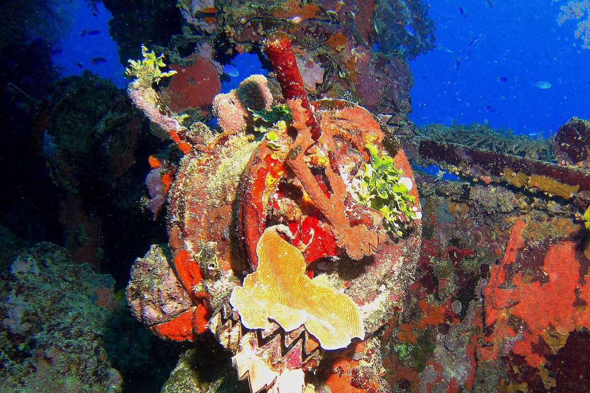 FSM_Chuuk-UW-Shinkoku_telegraph-©-WWDAS.jpg