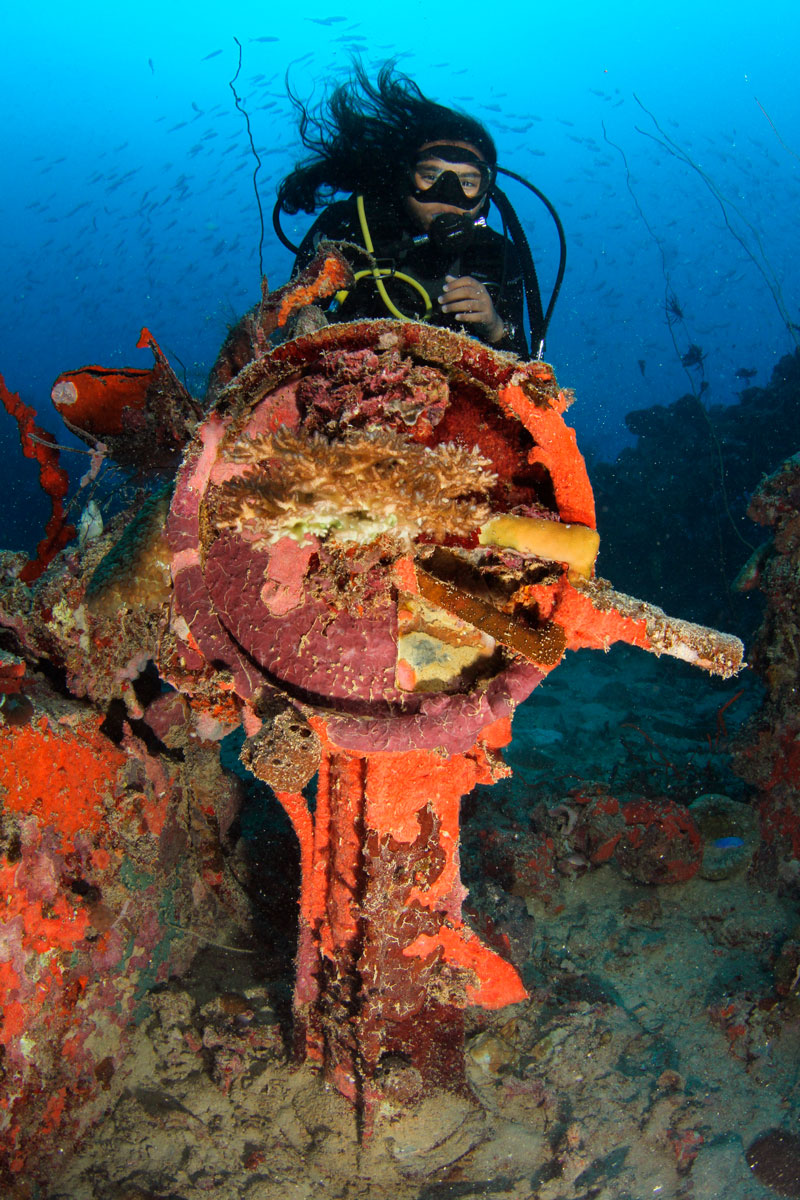 FSM_Chuuk-UW-Shinkoku-Stern-Telegraph-w-Calvin-©-Ron-Leidich.jpg