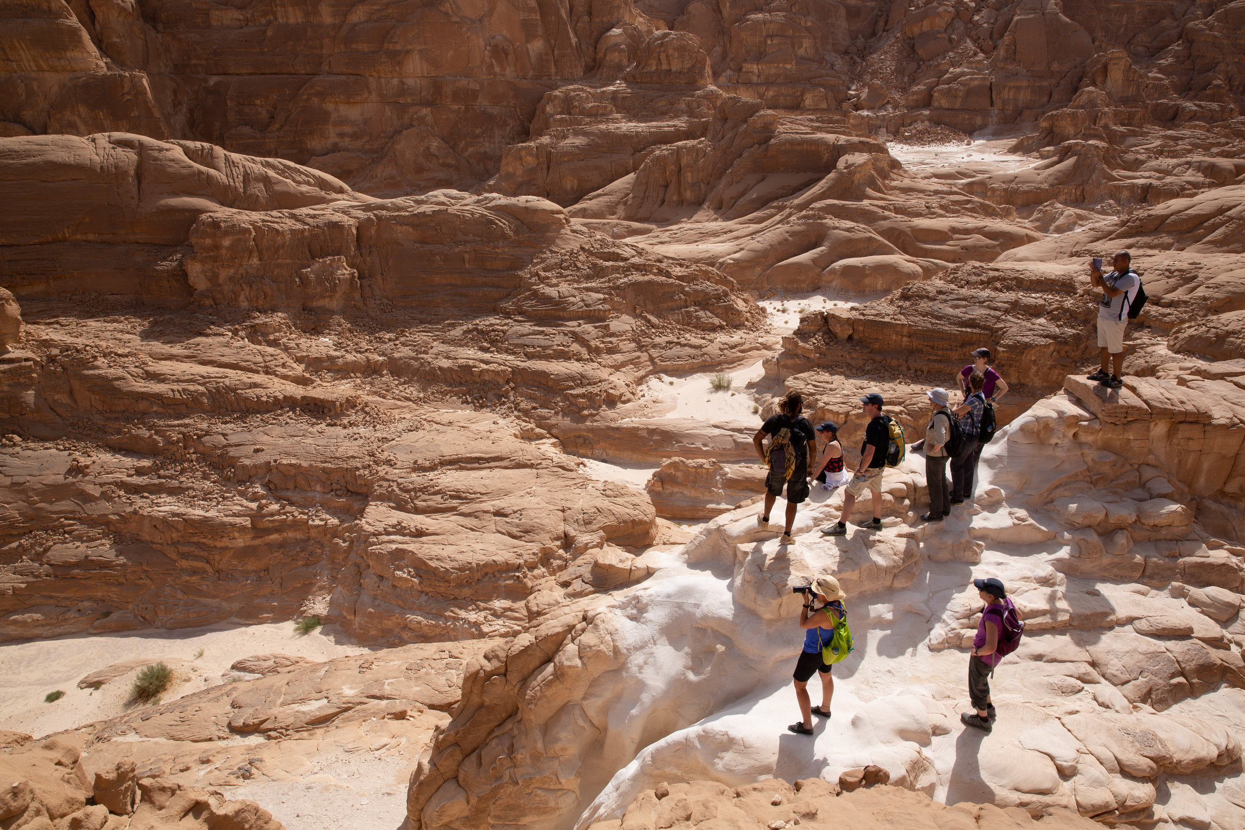 White Canyon, Sinai - Egypt - Wild Earth Expeditions