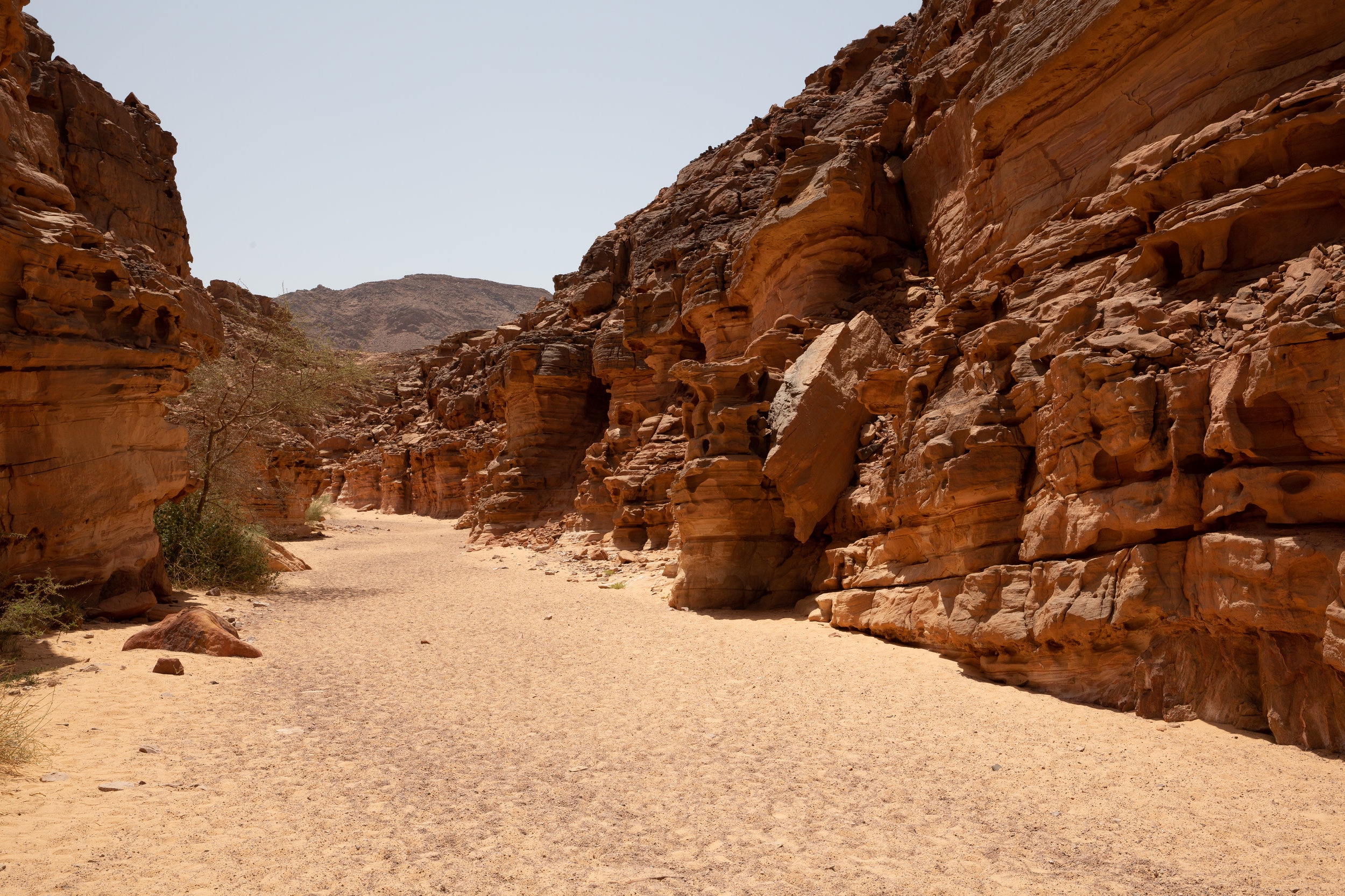 Salama Canyon, Sinai - Egypt - Wild Earth Expeditions