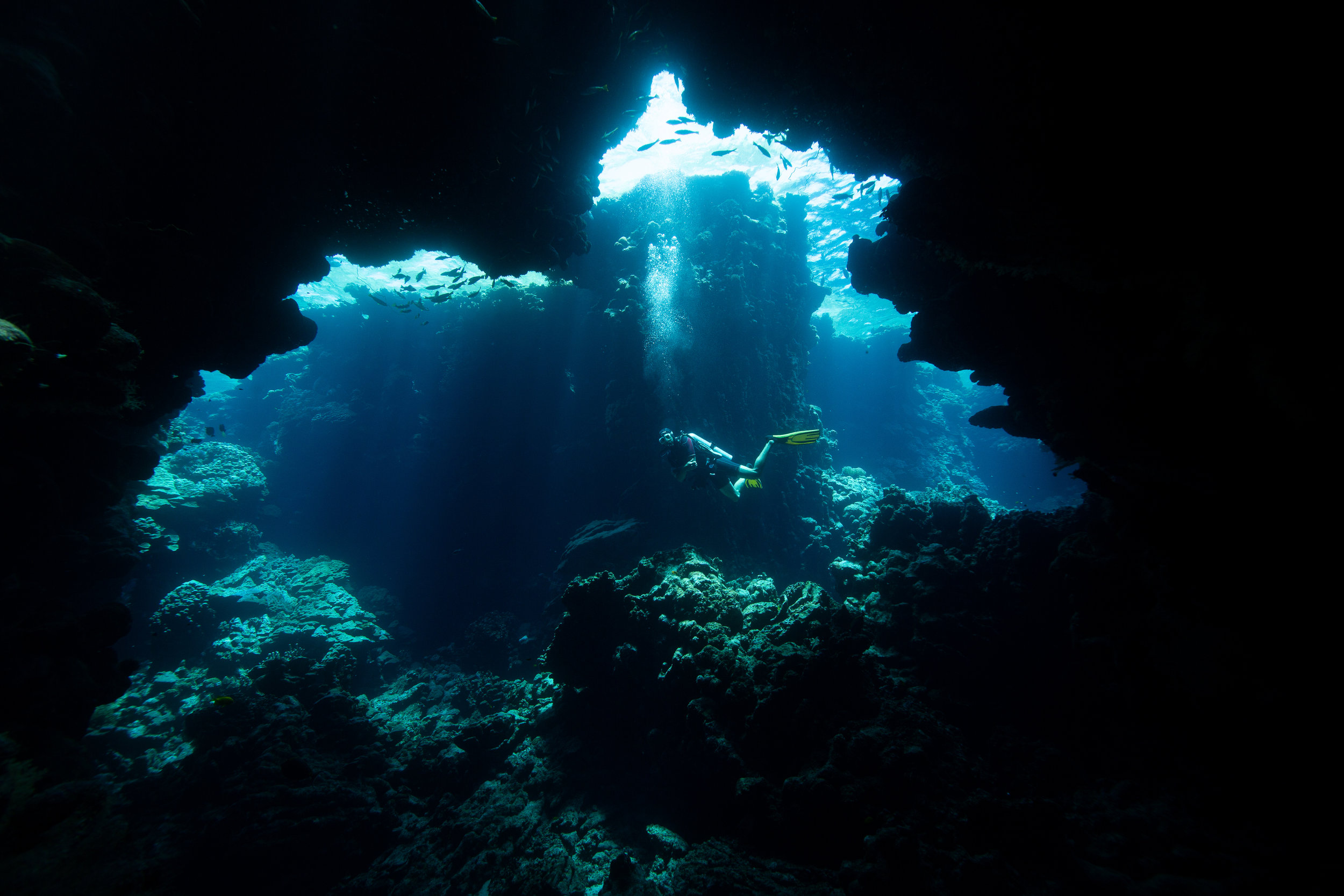 Cave system in Fury Shoal, Red Sea - Egypt - Wild Earth Expeditions
