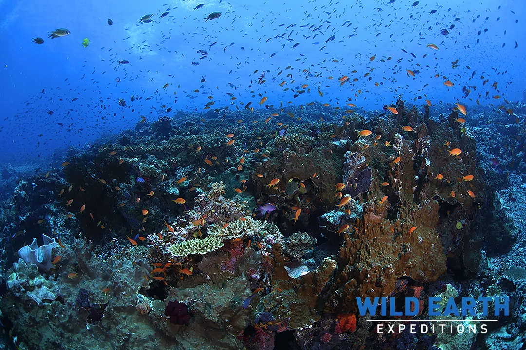 Rainbows end, Taveuni Island - Fiji - Wild Earth Expeditions