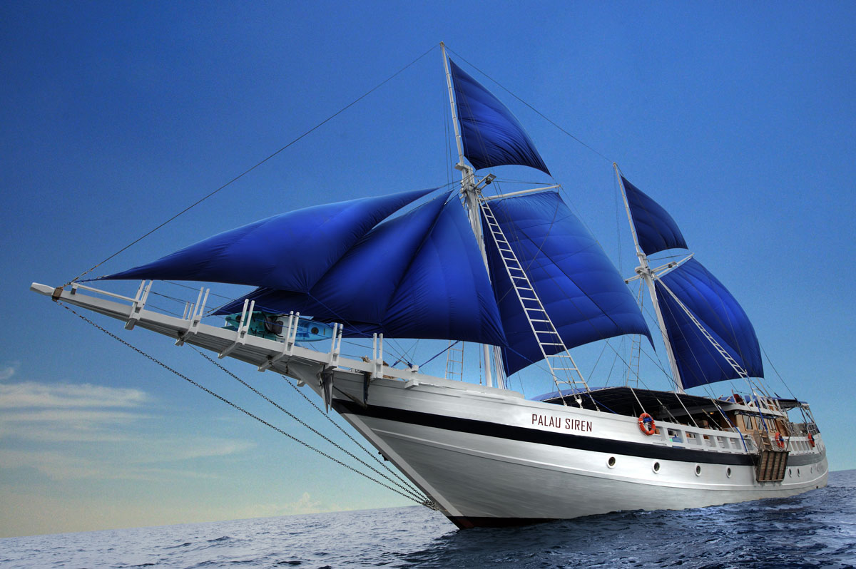 PLW_Palau-Siren-©-WWDAS-0193.jpg