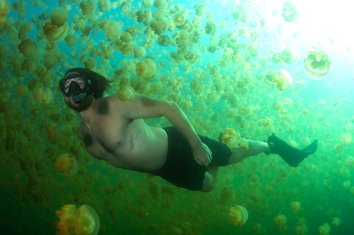 PLW_Jelly-Fish-Lake-©13-Thomas-Baechtold-011.jpg