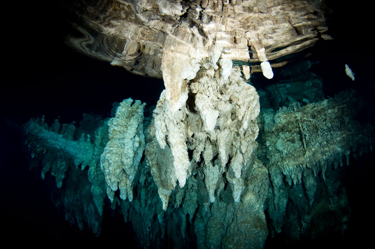 PLW_Palau-UW-Chandelier-Cave-©-Thomas-Baechtold-001.jpg