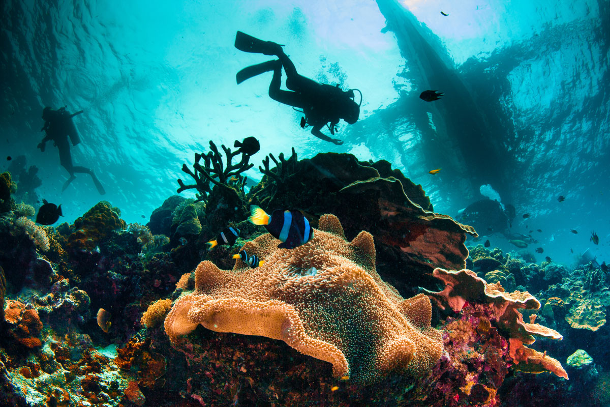 PHL_Philippines-UW-Reef-©-Adobe-Stock_42879810.jpg