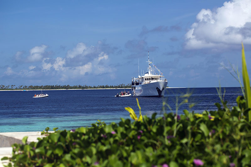 IDN_SY-Pelagian-Guests-boarding-Pelagian-©-Wakatobi-Reosrt.jpg