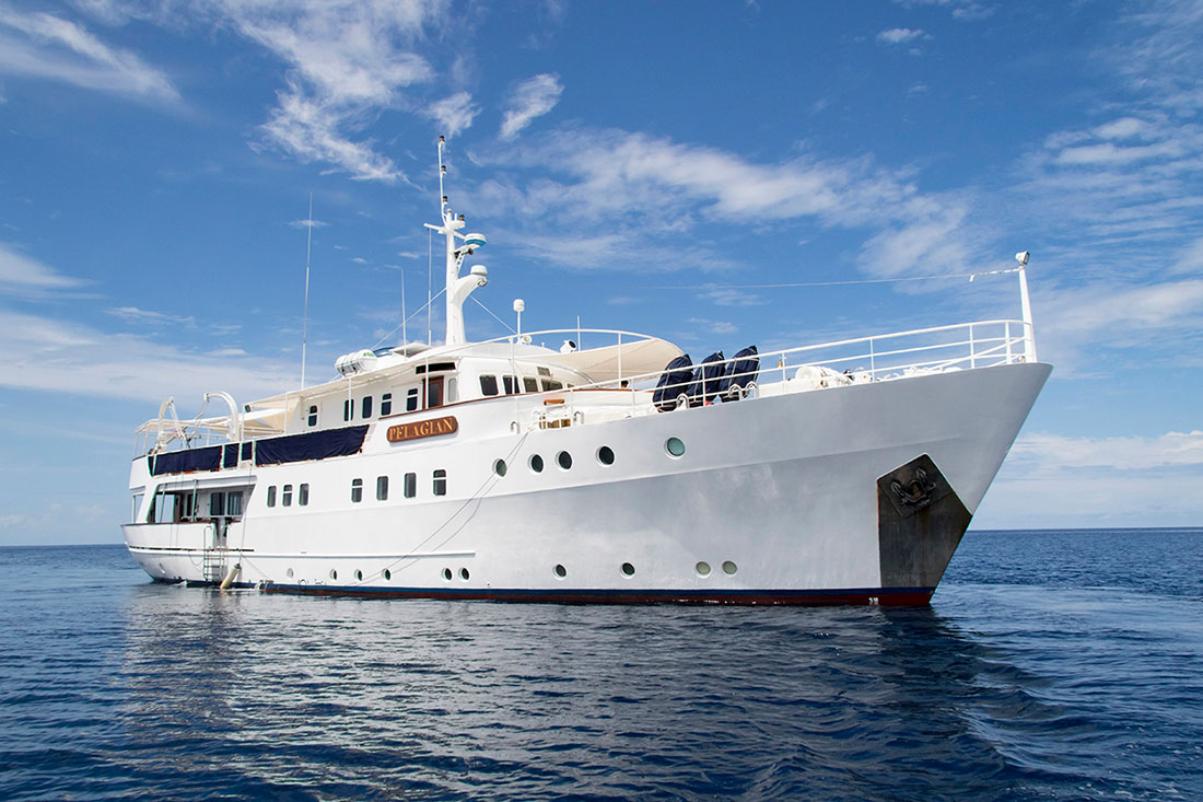 IDN_SY-Pelagian-Dive-yacht-walt-stearns-©-Wakatobo-Resort.jpg