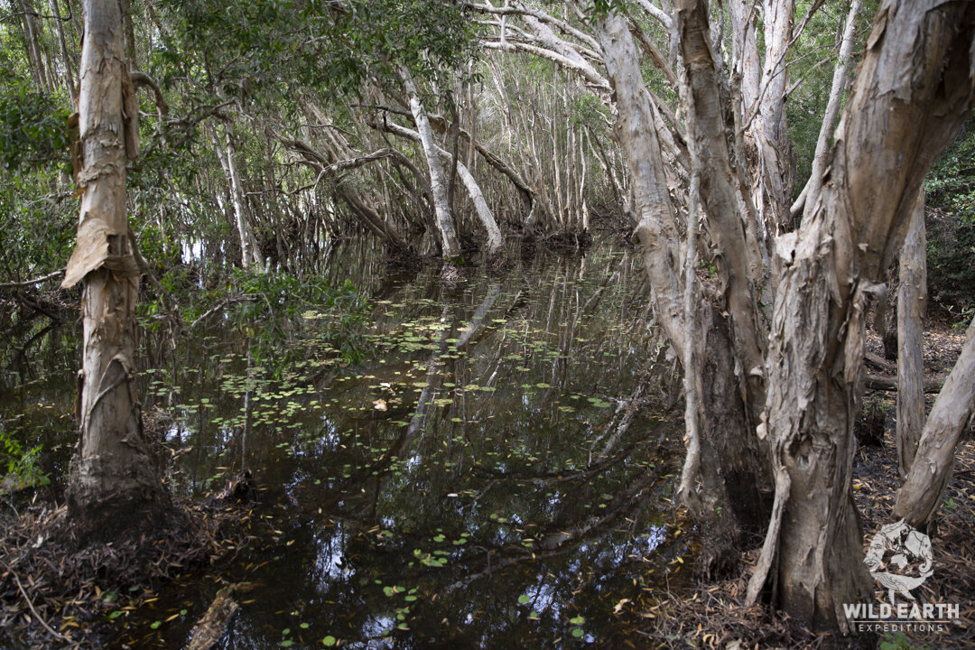 AUS_Keatings Lagoon ©19 Natalia Baechtold-10.jpg