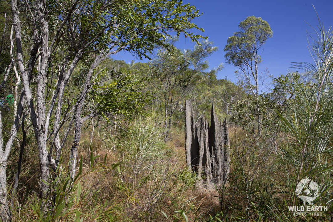 AUS_Laura-Split Rock Rock Art ©19 Natalia Baechtold-26.jpg