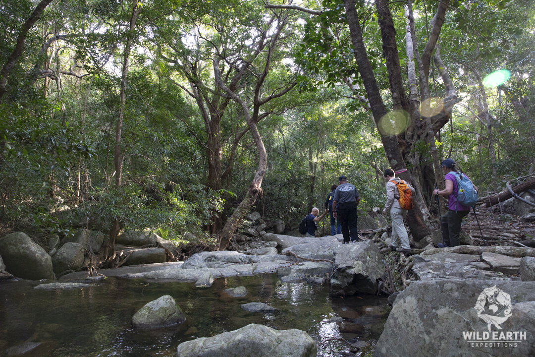 AUS_Mungumby Lodge-Rainforest Trail ©19 Natalia Baechtold-137.jpg