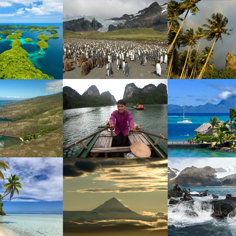 Wild News: Islands