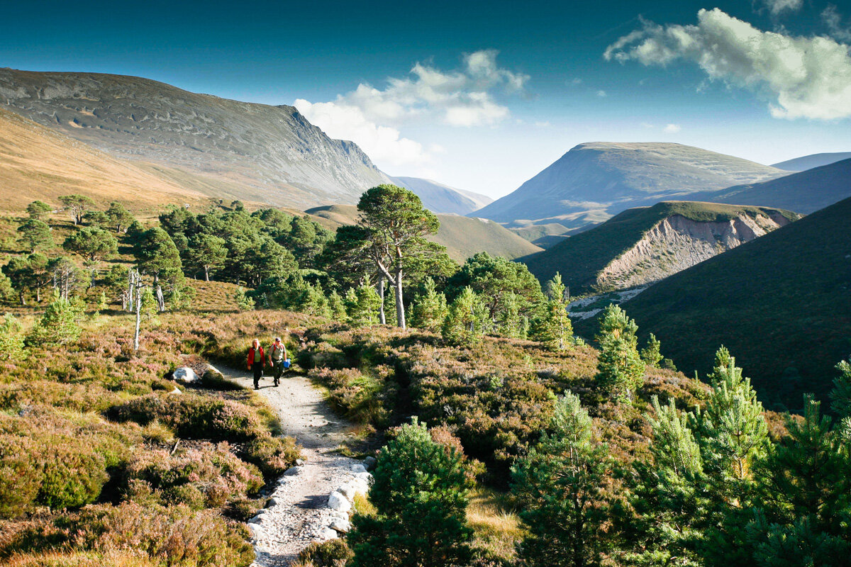 GBR_Cairngorms-Walking-©-Wilderness-Scotland.jpg