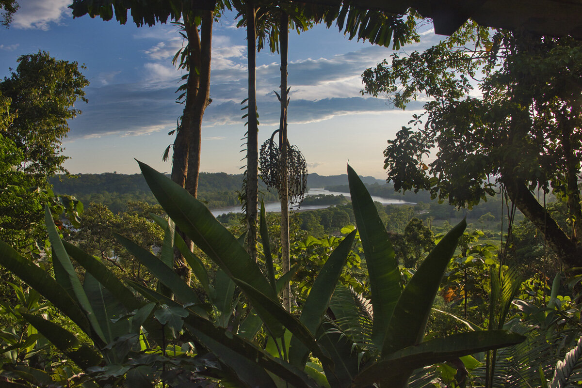 ECU_Ecuador-Amazon-Napo-River-©-AdobeStock_242878263.jpg