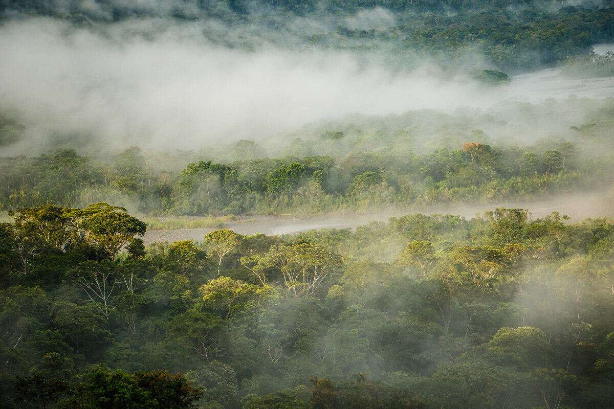 ECU_Ecuador-Cloud-Forest-Aerial-© AdobeStock_151355378.jpg
