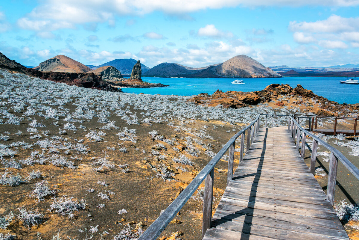 ECU_Galapagos-Bartolome-©-AdobeStock_80904068.jpg