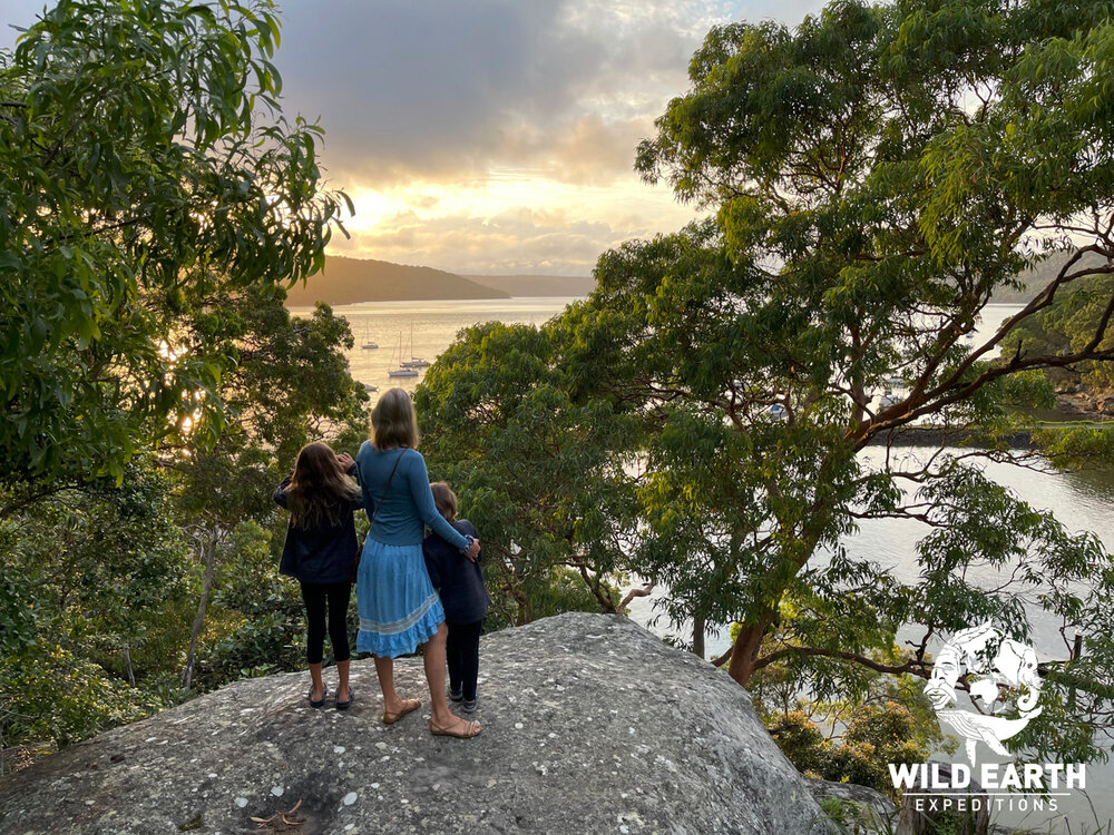 AUS_South Coast NSW-Wild Van Clan Road Trip ©21 Natalia Baechtold _1200WE 003.jpg