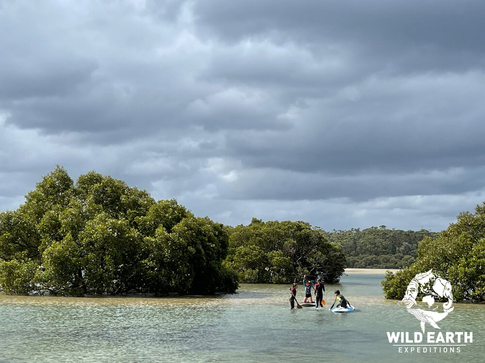 AUS_South Coast NSW-Wild Van Clan Road Trip ©21 Natalia Baechtold _1200WE 010.jpg