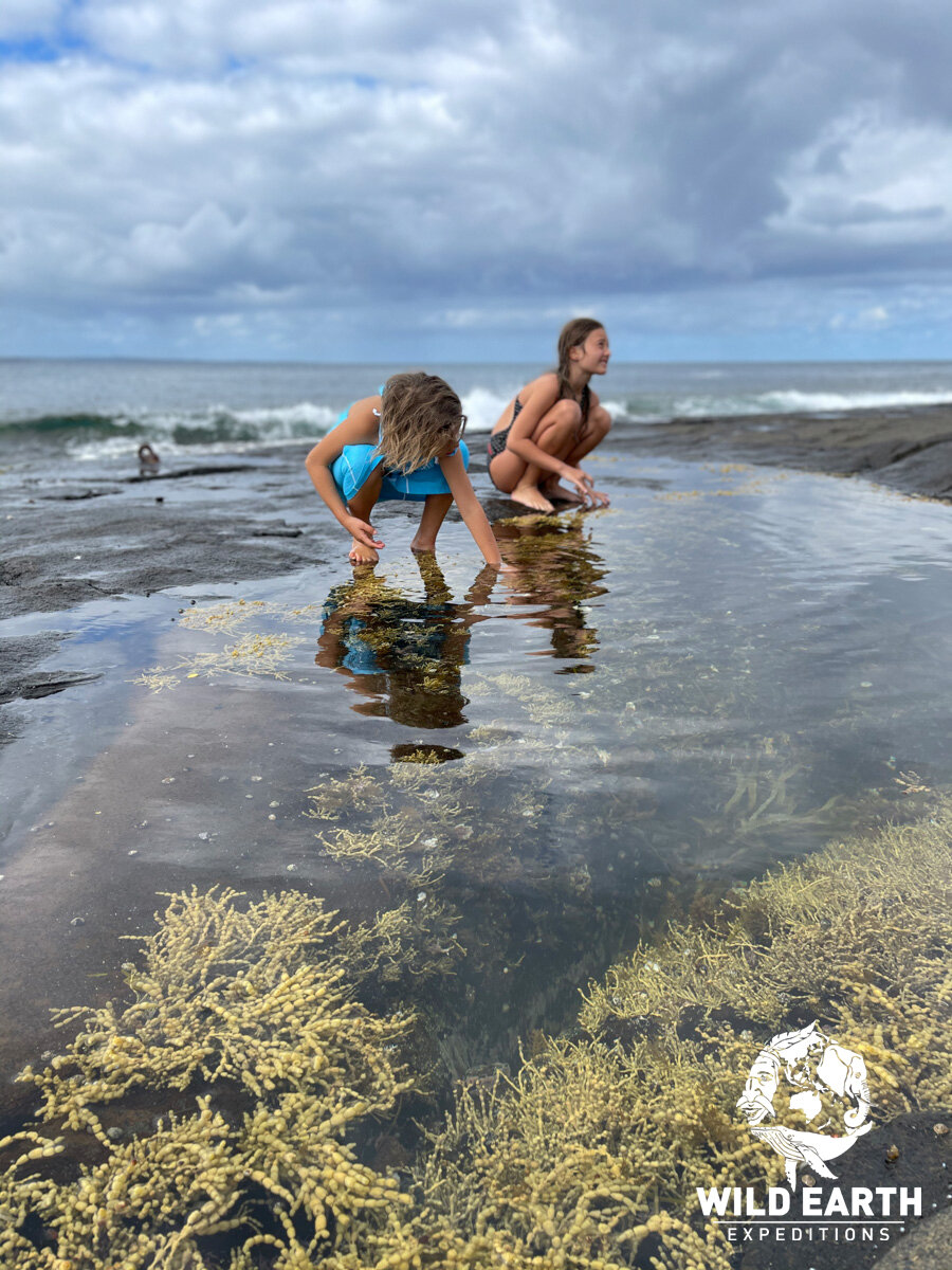 AUS_South Coast NSW-Wild Van Clan Road Trip ©21 Natalia Baechtold _1200WE 014.jpg