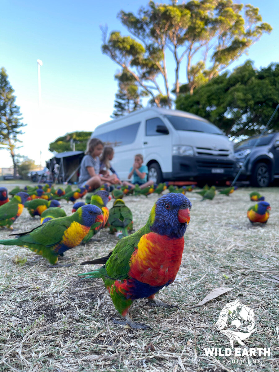 AUS_South Coast NSW-Wild Van Clan Road Trip ©21 Natalia Baechtold _1200WE 046.jpg