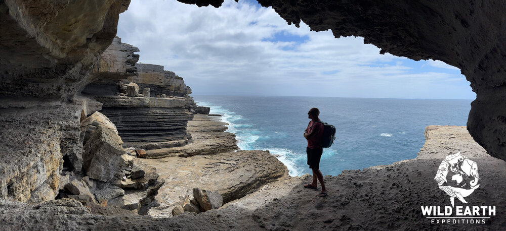 AUS_South Coast NSW-Wild Van Clan Road Trip ©21 Natalia Baechtold _1200WE 060.jpg