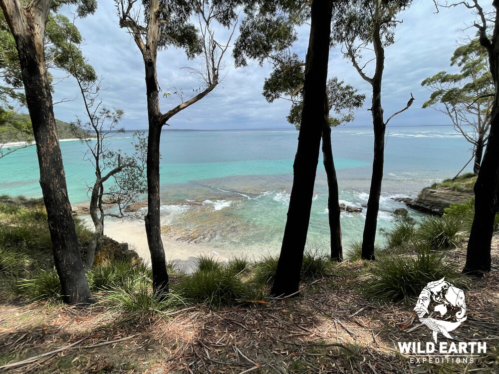 AUS_South Coast NSW-Wild Van Clan Road Trip ©21 Natalia Baechtold _1200WE 064.jpg