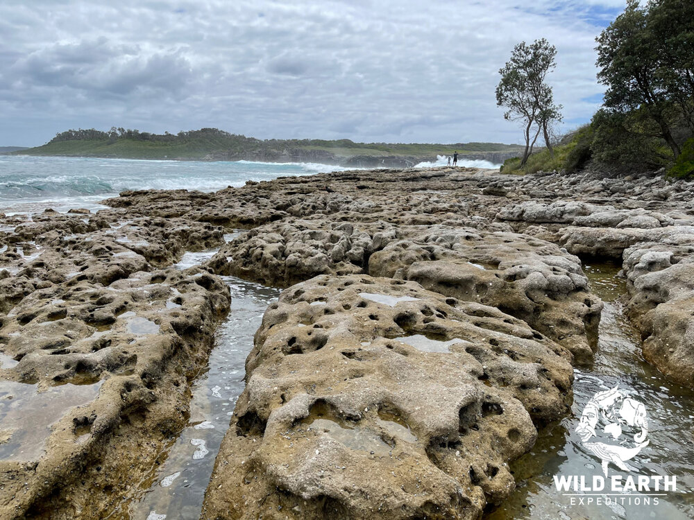 AUS_South Coast NSW-Wild Van Clan Road Trip ©21 Natalia Baechtold _1200WE 065.jpg