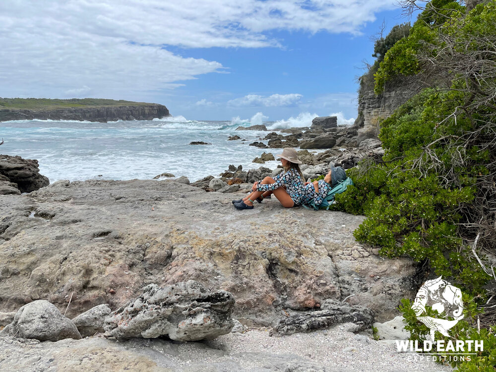 AUS_South Coast NSW-Wild Van Clan Road Trip ©21 Natalia Baechtold _1200WE 066.jpg