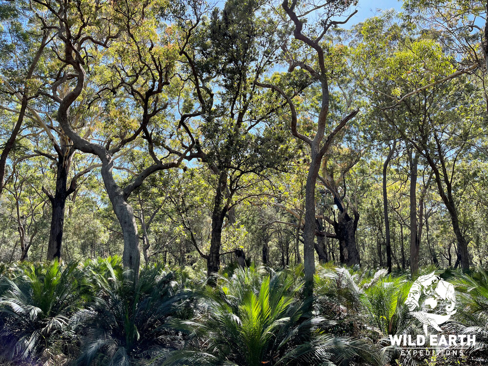 AUS_South Coast NSW-Wild Van Clan Road Trip ©21 Natalia Baechtold _1200WE 089.jpg