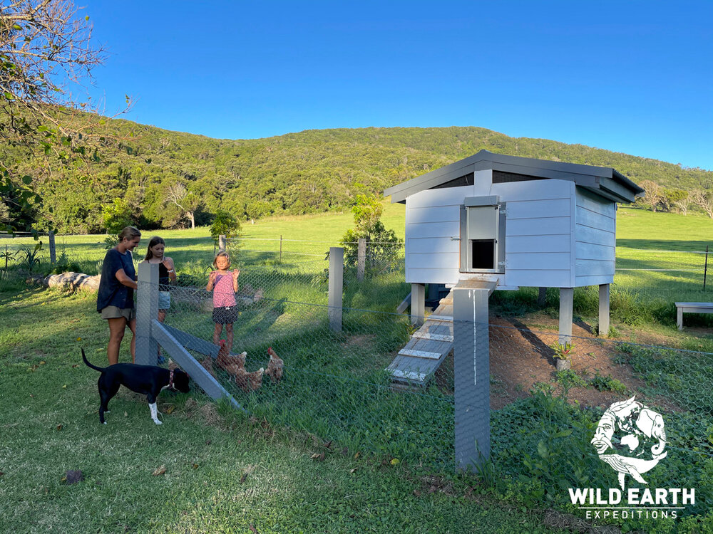 AUS_South Coast NSW-Wild Van Clan Road Trip ©21 Natalia Baechtold _1200WE 094.jpg